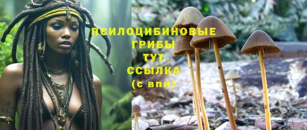 бошки Богородск