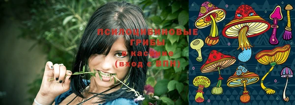 2c-b Богородицк